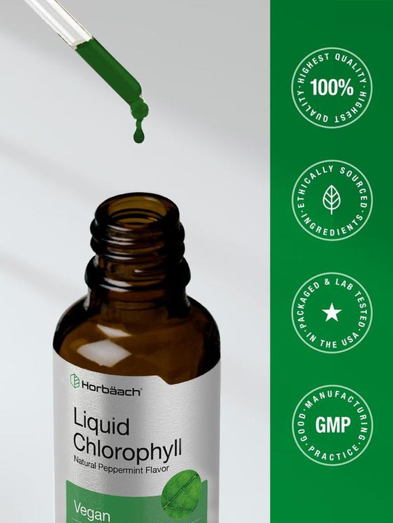 Horbäach Liquid Chlorophyll Drops - 2 Oz | Vegan, Non-GMO, Gluten-Free | Refreshing Natural Peppermint Flavor