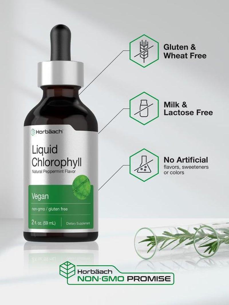 Horbäach Liquid Chlorophyll Drops - 2 Oz | Vegan, Non-GMO, Gluten-Free | Refreshing Natural Peppermint Flavor